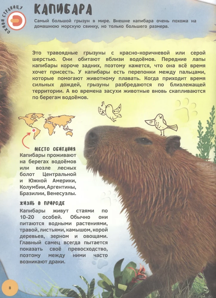 Encyklopedia 4D w rozszerzonej rzeczywistości - Poznajemy zwierzęta