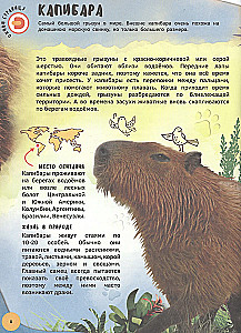 Encyklopedia 4D w rozszerzonej rzeczywistości - Poznajemy zwierzęta