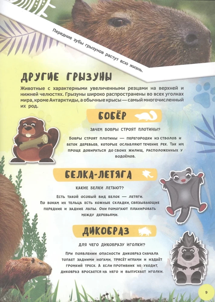 Encyklopedia 4D w rozszerzonej rzeczywistości - Poznajemy zwierzęta