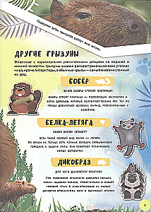 Encyklopedia 4D w rozszerzonej rzeczywistości - Poznajemy zwierzęta