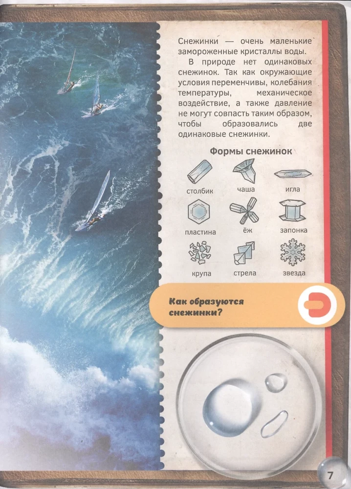 Pasaule zem mikroskopa. 4D grāmata