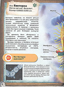 Pasaule zem mikroskopa. 4D grāmata
