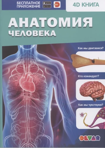 Anatomia człowieka