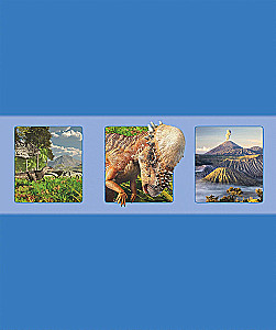 Dinozaury. Najbardziej kompletna nowoczesna encyklopedia