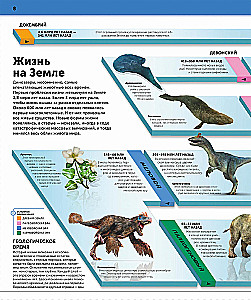 Dinozaury. Najbardziej kompletna nowoczesna encyklopedia
