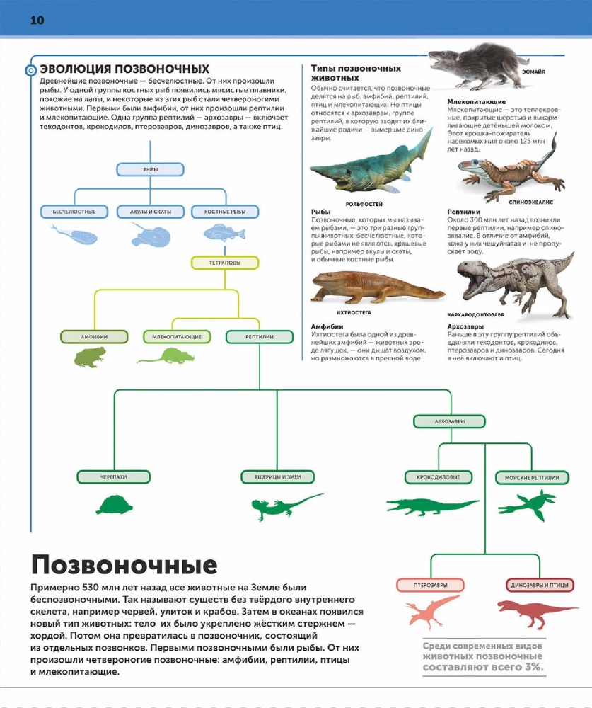 Dinozaury. Najbardziej kompletna nowoczesna encyklopedia
