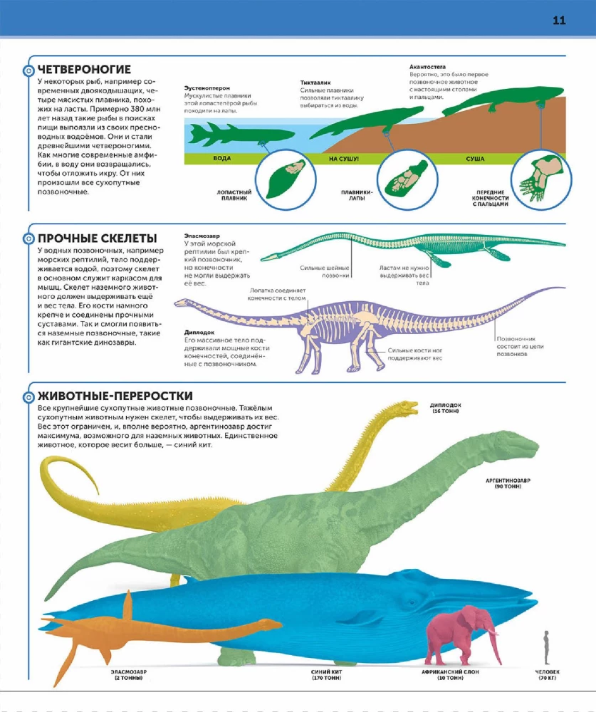 Dinozaury. Najbardziej kompletna nowoczesna encyklopedia