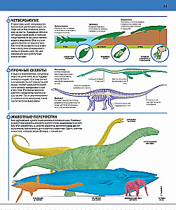 Dinozaury. Najbardziej kompletna nowoczesna encyklopedia