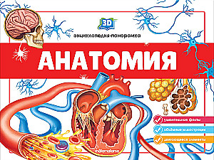 3D encyklopedia-panoramka. Anatomia