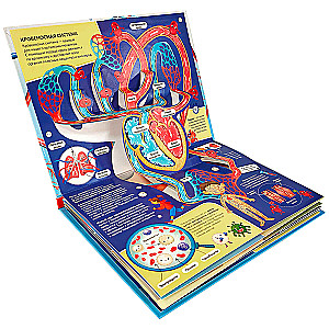 3D encyklopedia-panoramka. Anatomia