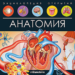 Anatomija