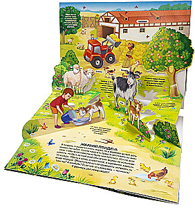 3D encyklopedia panoramica. Farma