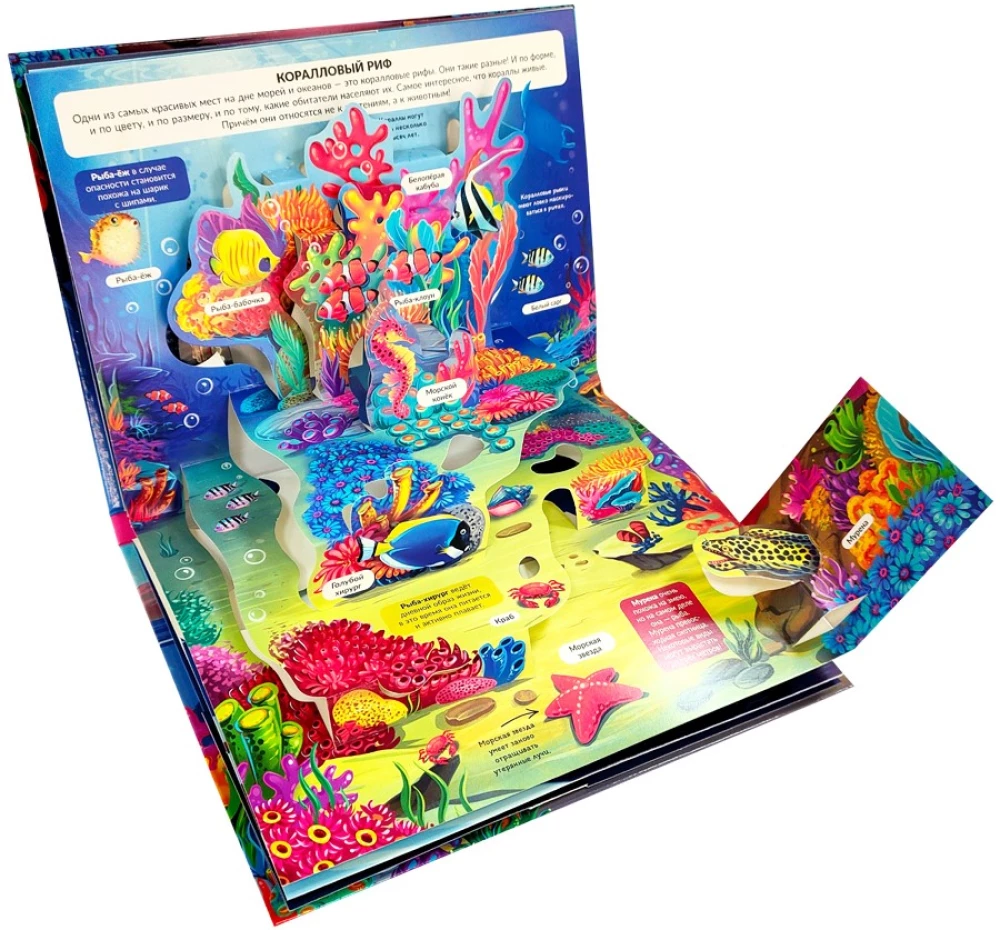 3D encyklopedia-panorama. Morze