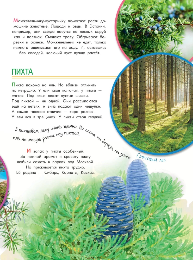 Co to jest? Kto to jest?