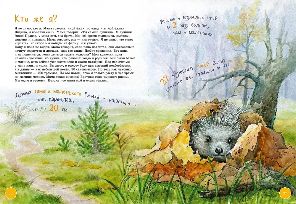 Najodważniejsze zwierzęta. Encyklopedia