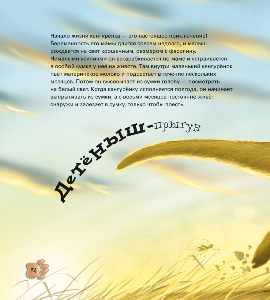 Zabawne maluchy zwierząt