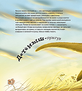 Zabawne maluchy zwierząt