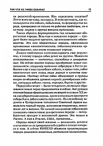 Šunys