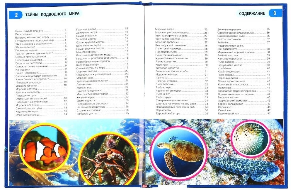 Tajemnice podwodnego świata