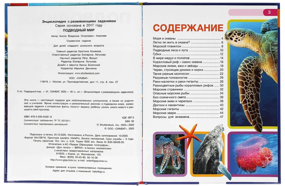 Podwodny świat