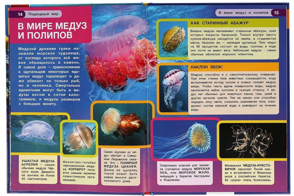 Podwodny świat