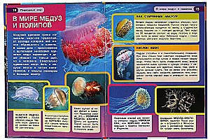 Podwodny świat