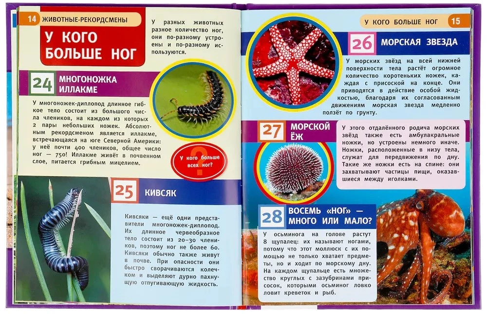 Zwierzęta-rekordzści