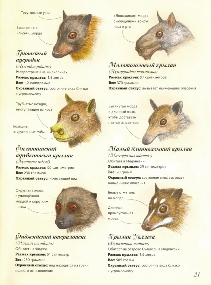 Inhabitants of the Land