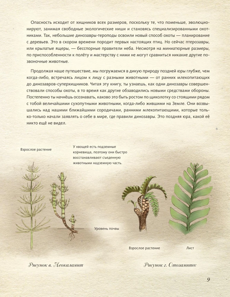 Jurassic Period. Dinosaurs and Other Prehistoric Animals