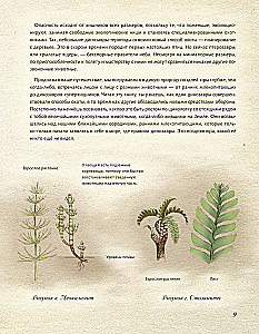 Jurassic Period. Dinosaurs and Other Prehistoric Animals