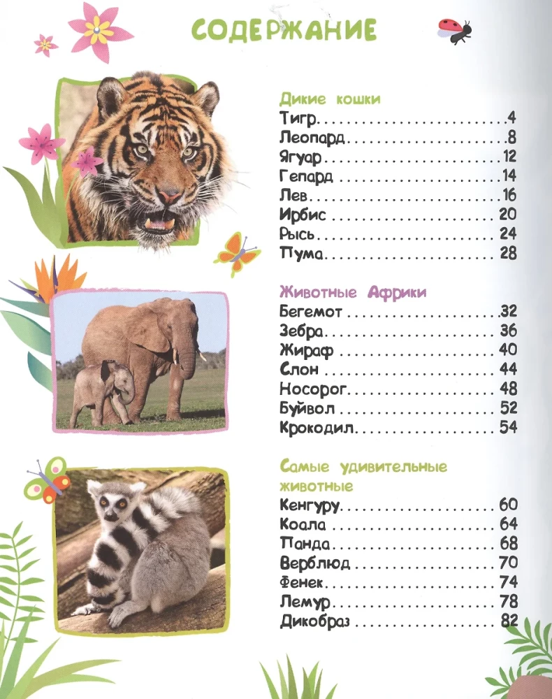 Encyklopedia zwierząt dla maluchów