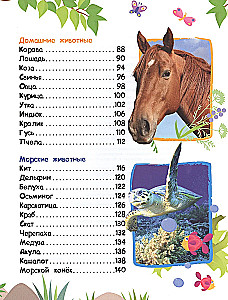 Encyklopedia zwierząt dla maluchów