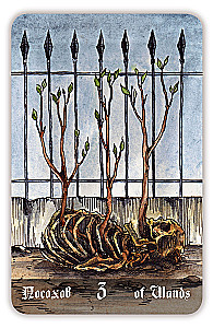Karty wróżebne - Cmentarne Tarot. Necropolis Tarot z instrukcją (78 kart)
