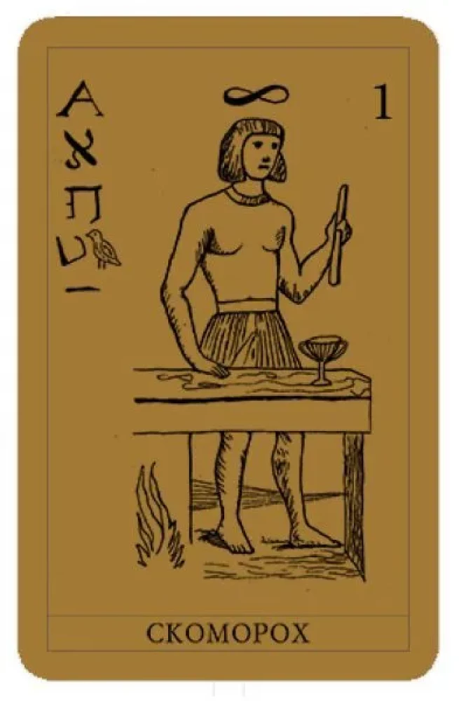 Taro - Papjuso pradedantiesiems