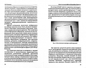 Целительный эффект Цилиндров Фараона
