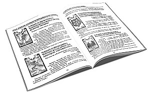 Karty wróżebne - Tarot Czarnej Siły Wery Sklyarowej (114 kart z instrukcją)
