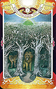 Karty wróżebne - Tarot Czarnej Siły Wery Sklyarowej (114 kart z instrukcją)