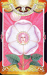 Karty wróżebne - Tarot Czarnej Siły Wery Sklyarowej (114 kart z instrukcją)