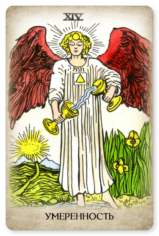 Tarot Waite. Profesjonalny zestaw 79 kart z książką i zeszytem roboczym