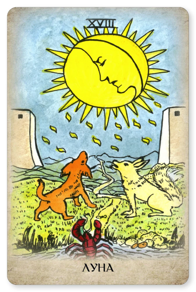 Tarot Waite. Profesjonalny zestaw 79 kart z książką i zeszytem roboczym