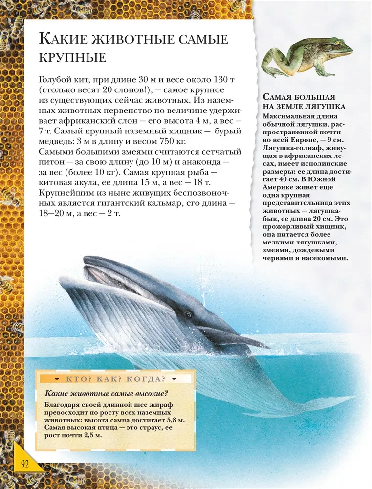 Wielka encyklopedia ucznia. Książka pytań i odpowiedzi