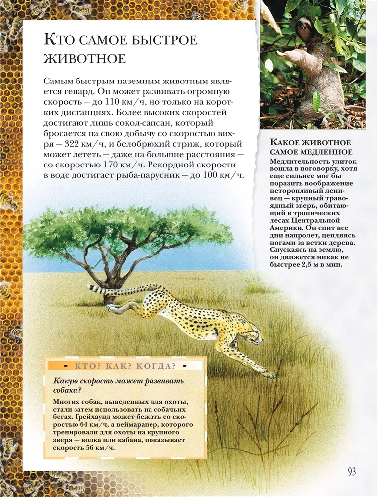 Wielka encyklopedia ucznia. Książka pytań i odpowiedzi