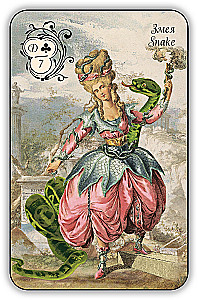 Fortune-Telling Cards - Dubarry Oracle (42 cards with instructions)
