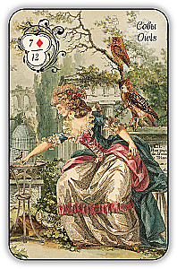 Fortune-Telling Cards - Dubarry Oracle (42 cards with instructions)