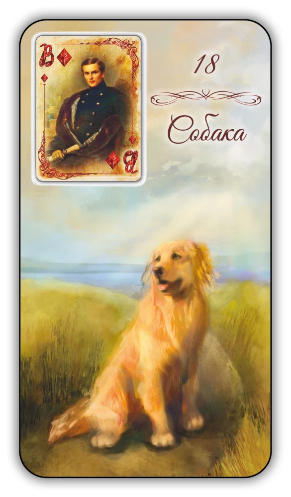 Karty wróżebne - Wyrocznia Lenormand. Prowansja (36 kart z instrukcją)