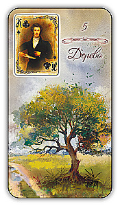 Karty wróżebne - Wyrocznia Lenormand. Prowansja (36 kart z instrukcją)