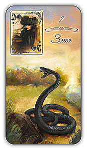 Karty wróżebne - Wyrocznia Lenormand. Prowansja (36 kart z instrukcją)