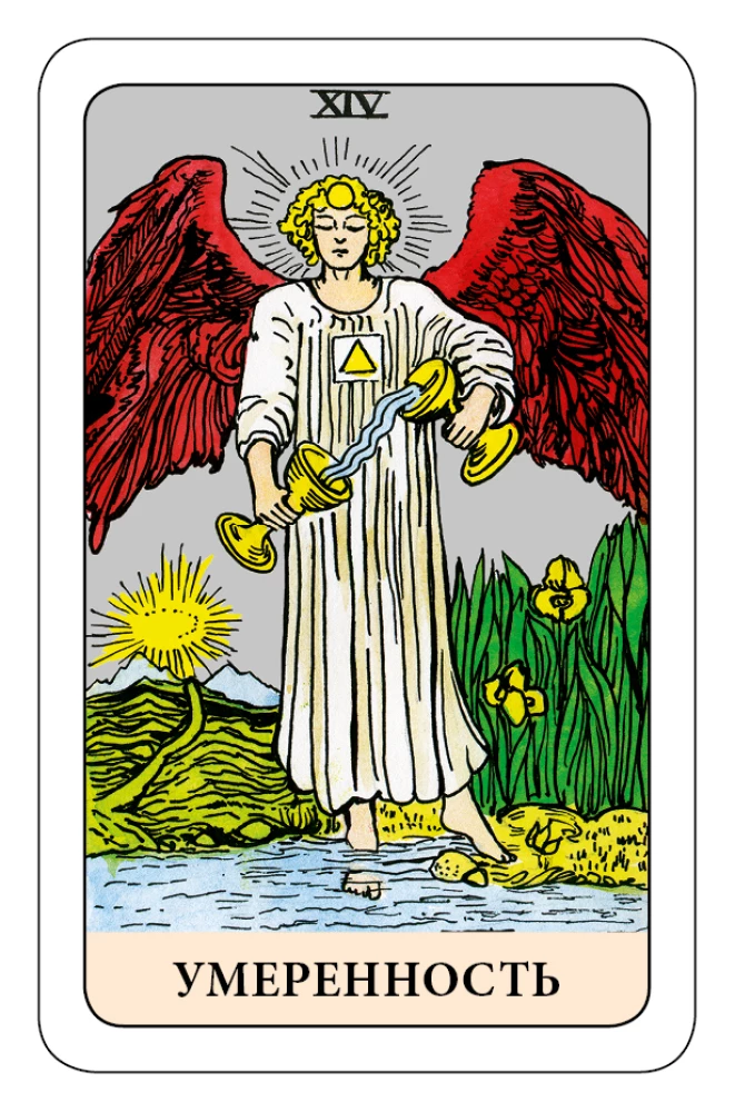 Der Narr Tarot - Psychologisches Transformationsspiel (78 Karten)