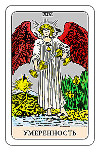 Der Narr Tarot - Psychologisches Transformationsspiel (78 Karten)