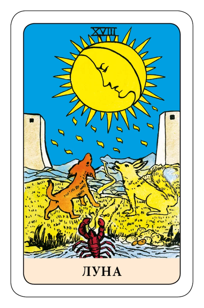 Der Narr Tarot - Psychologisches Transformationsspiel (78 Karten)